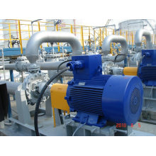 Horizontal Split Pumps 110m-150m Lcpumps Fumigation Wooden Case Pump & Vacuum Equipment